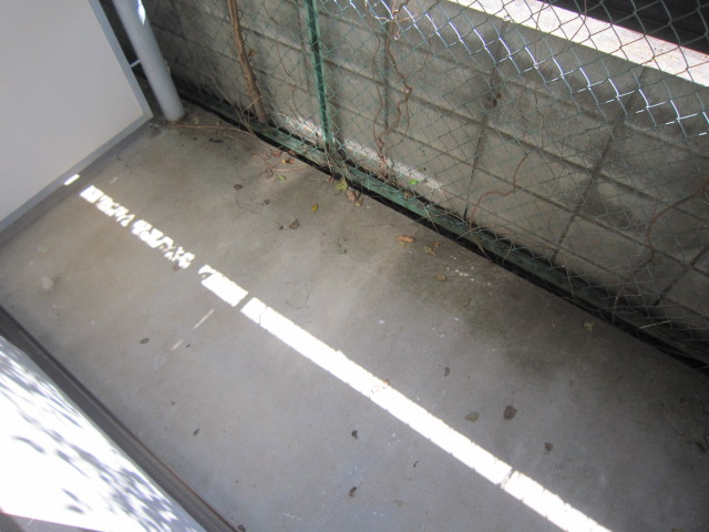 藤コーポのバルコニー