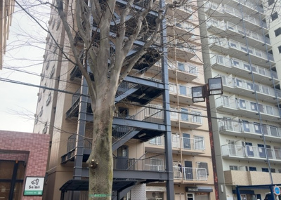 【外観】 | レクハイム相模原２ | 駐車場と明記されていても、最小スペースでつくられた駐車場だと大型車は駐車できなかったり、出入りしにくくなったりする可能性があります。お車のサイズと購入したい物件の駐車場のサイズを現地で確認しましょう。