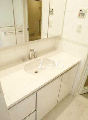 【洗面所】 | カスタリア高輪台 | 洗面台です。