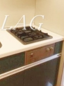 【設備】 | トーシンフェニックス南麻布 | 二口コンロです。