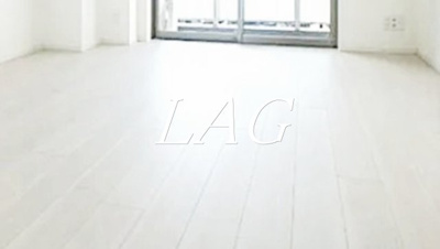 【居間・リビング】 | グランド・ガーラ白金高輪 | 洋室のお部屋です。