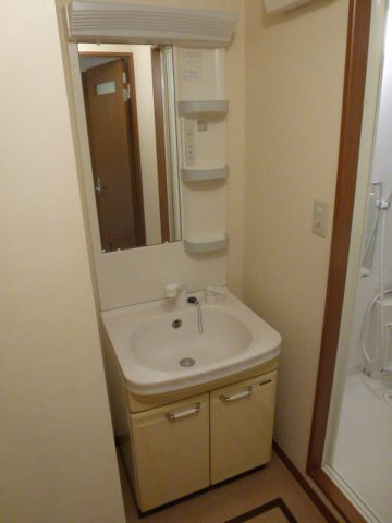 THE BOLASの洗面所