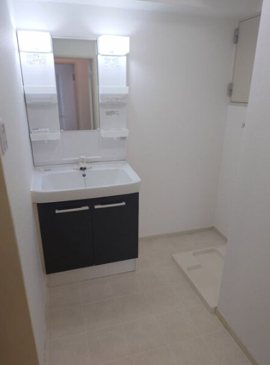 ジークレフ本山の洗面所