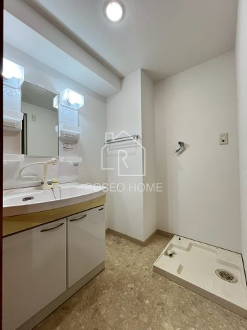 ブラーヴォ梅田北の洗面所