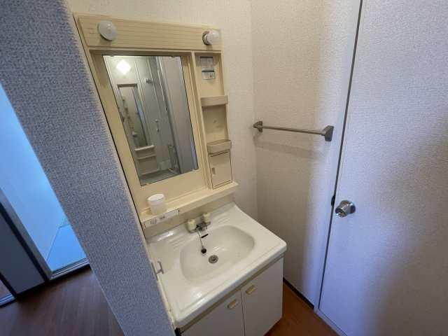 ロイヤルタウン泉Cの洗面所