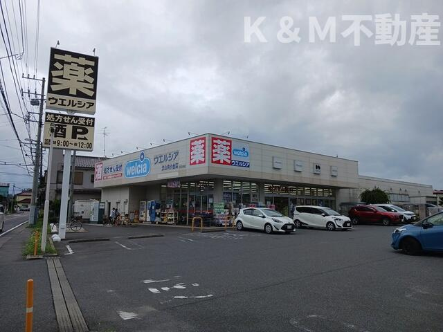 Ａｉ－ＨｉｇｈｔｓⅡＡの周辺|ウェルシア流山向小金店まで660m 