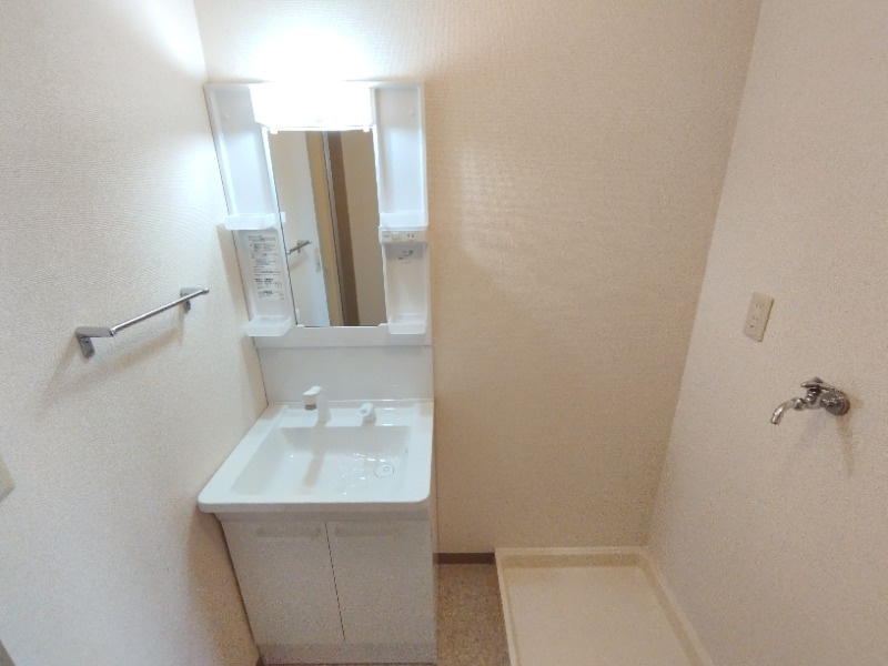 ハイウッズ針崎の洗面所