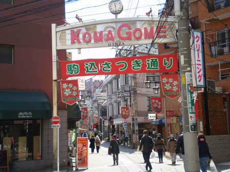 ヴェルステージ駒込