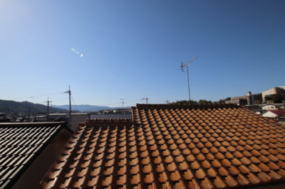 【展望】 | ハイムニシキ