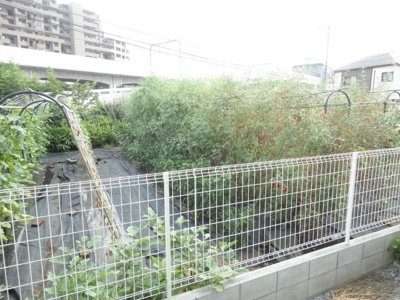 【展望】 | マーベラス小金井緑町Ⅰ