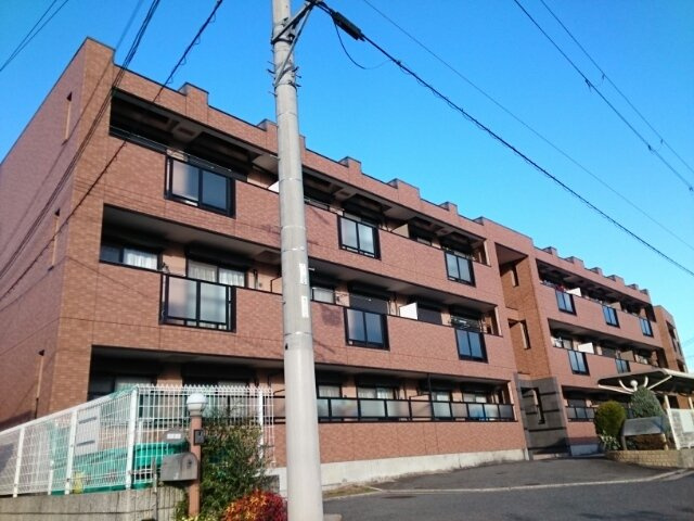 サングレイス