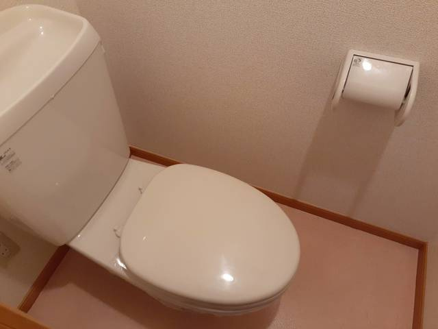 サングレイスⅡのトイレ