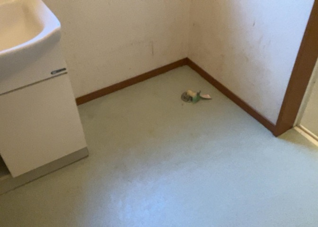 【ランドリースペース】 | ランドリースペースも気になります。洗濯機置場があり「洗う、干す、取り込む、アイロンがけ、たたむ」など、洗濯に関する家事をするための空間です。広さや収納など付帯設備も含めて、詳細は現地でご確認ください。