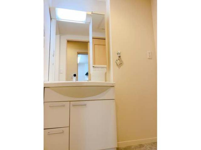 サザンクロスⅡの洗面所