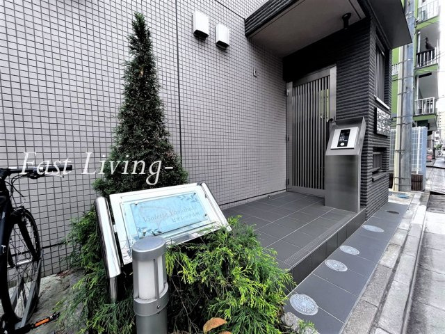 ビオレッテ山吹