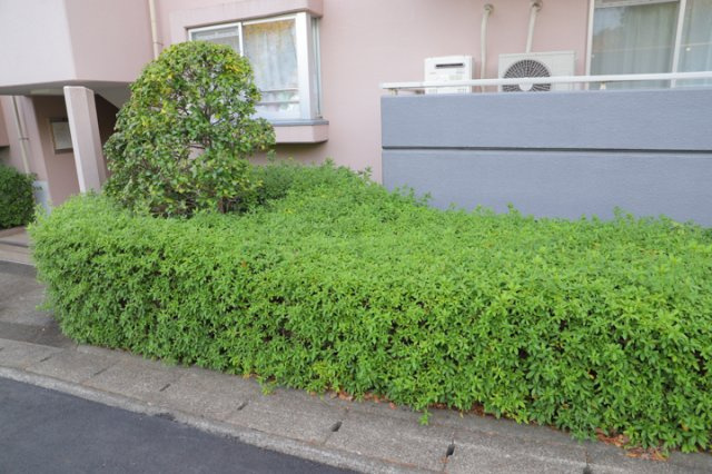 【庭】 | ベルブリーズ森の里4号棟 | 物件によっては、入居者が個人的に使用できる専用庭がついているものもあります。また、住宅の中にある土間の部分を庭と呼ぶこともあります。庭の用途は住む人によって変わり、それによってデザインもさまざまです。