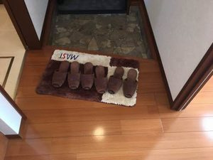 【玄関】 | メゾン竹島　Ⅱ棟　B