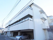 マーベリー石川の画像