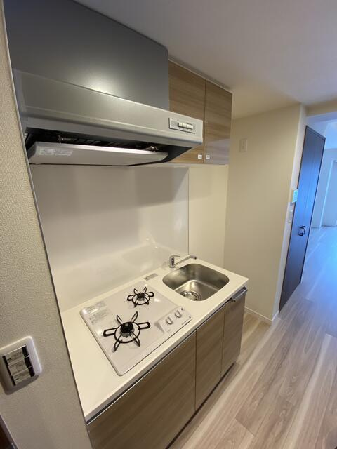 ガリシア下丸子リバーサイドのキッチン|使いやすいキッチンです