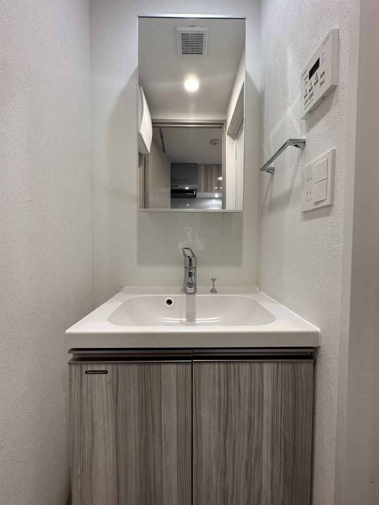 ＴＨＥ ＰＡＳＥＯ新小岩Ⅱの洗面所