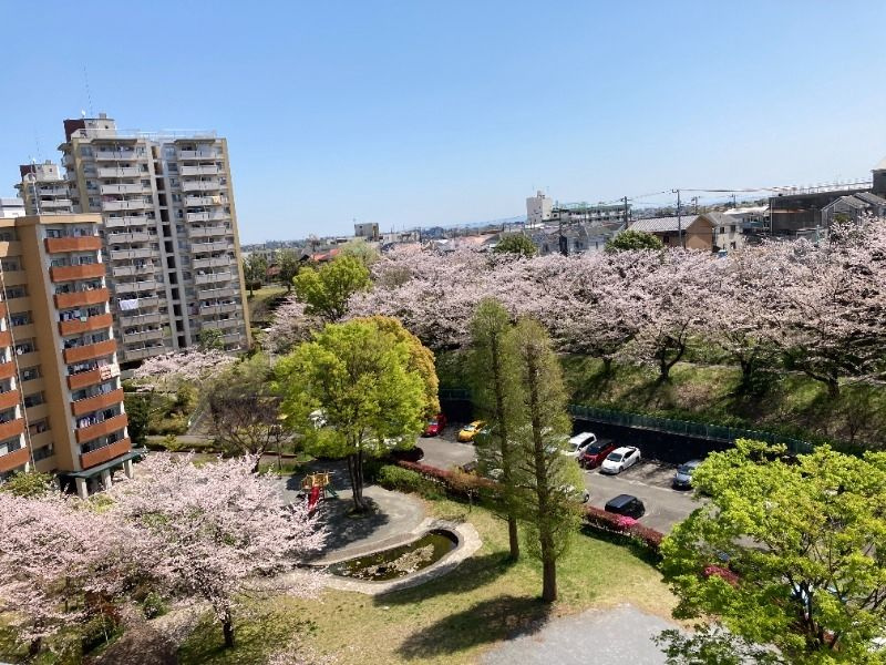 南永田団地1-3号棟の展望