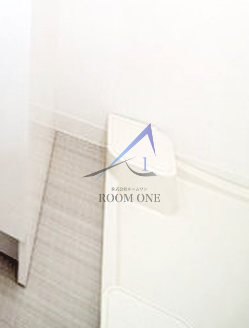 ヴォーガコルテ板橋本町Ⅱの設備|洗濯機置き場です。