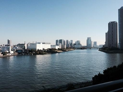 中央区新川１丁目の賃貸マンションのその他|眺望
