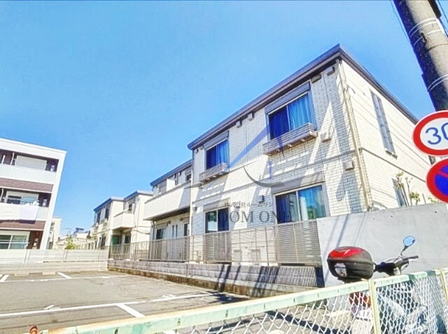 ルークラティブ蓮根