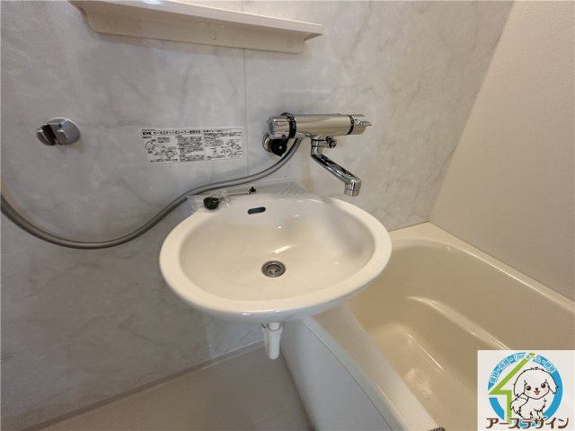 ビュー長坂の洗面所