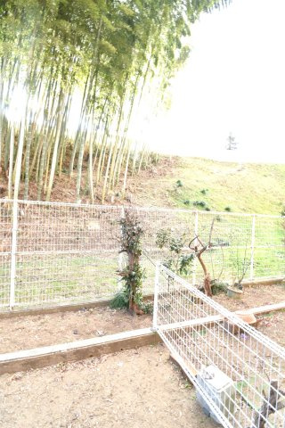 ライオンズマンション水戸三の丸の庭|お庭も活用できます。