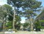 私立成城大学まで832m