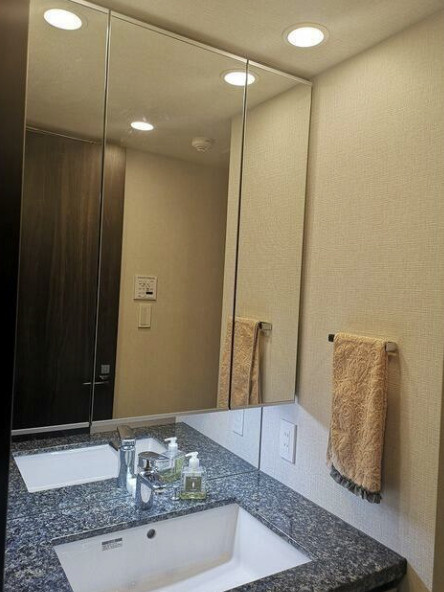 サンウッド代々木西参道の洗面所