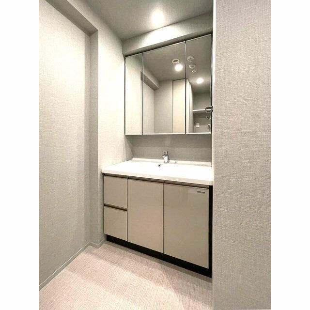 ルフォンプログレ浅草入谷の洗面所