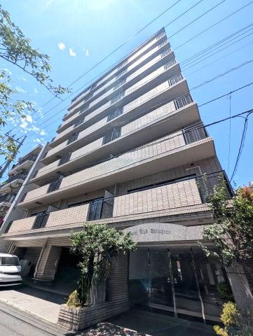 バイムフルス白金Ⅰの外観
