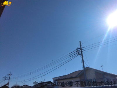 【展望】 | Dog wood