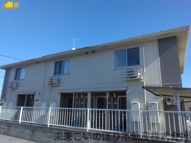 アムール花崎の画像