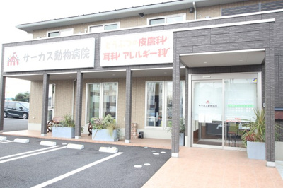 サーカス動物病院まで350ｍ