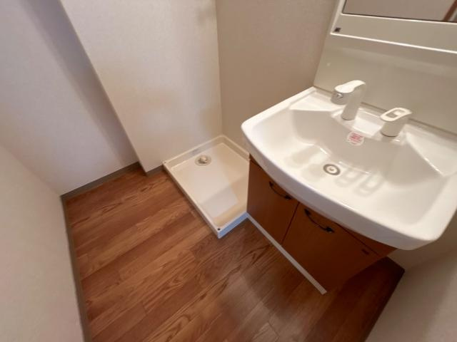 Ｆ・ロッシュの洗面所|脱衣所