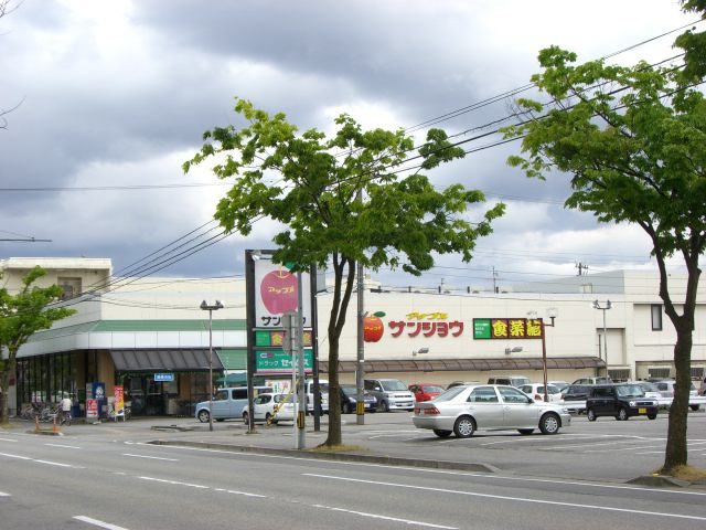 サザンライトの周辺|サンショウ有沢店まで971ｍ