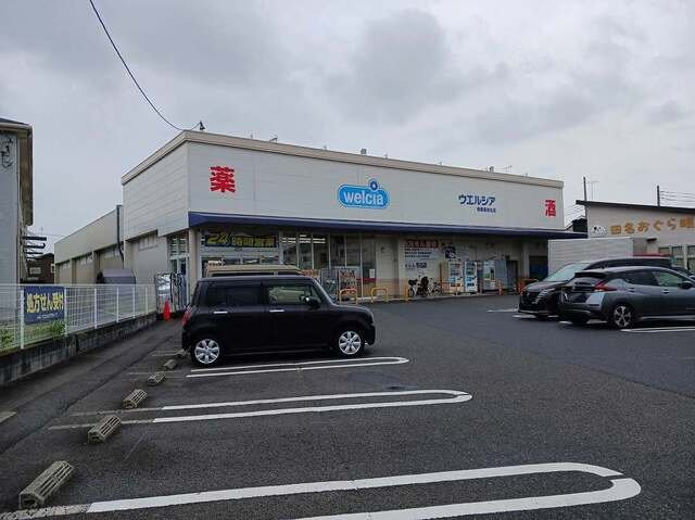 サンネリネの周辺|ウエルシアまで500m