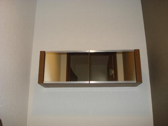 サザンライトの収納|収納２