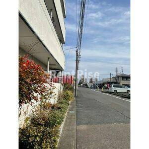 シンシア緑のエントランス