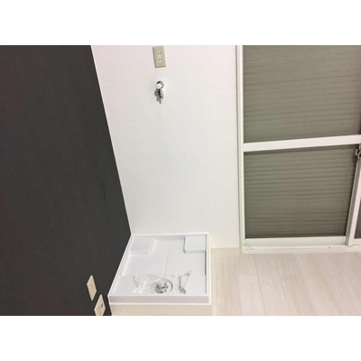 【その他】 | ルピナス