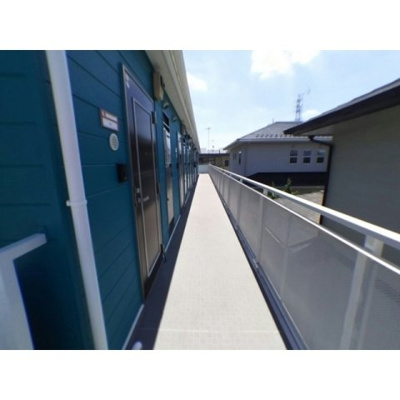 【その他】 | ルピナス