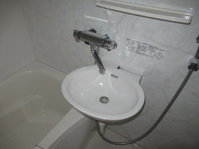 ビュー長坂の洗面所