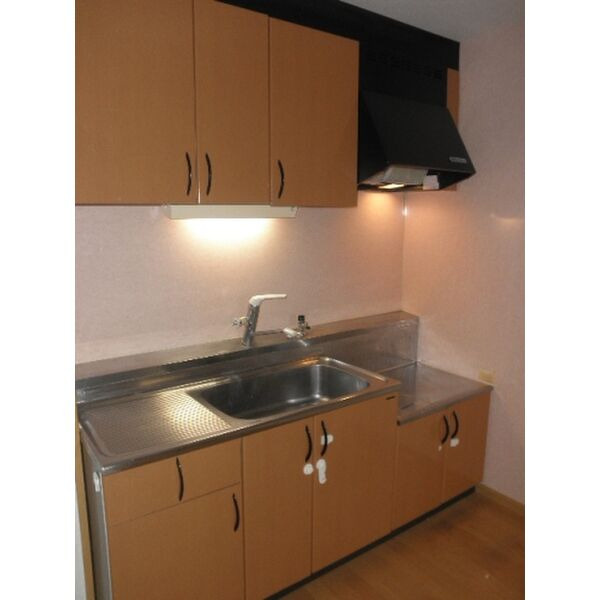 クラージュ城南のキッチン