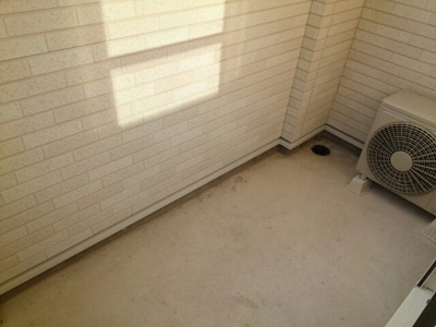 【その他】 | プラシード