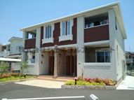 プラシードの画像