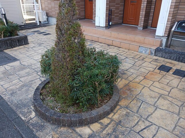 エルエール２２の展望