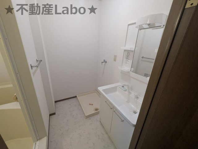 ラポール宮内Bの洗面所